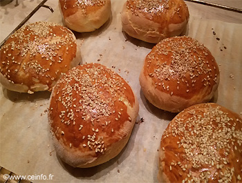 Recette Pain à hamburger 