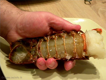 Recette Queue de langouste décortiquée poêlée 