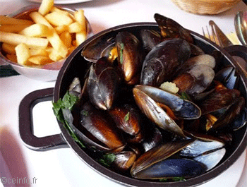 Recette Moules marinières [Recette Facile] 