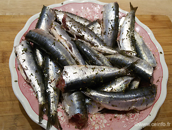 Recette Sardines grillées 