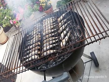 Recette Sardines grillées 