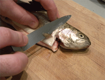 Recette Truite de mer au four [Niveau facile] 